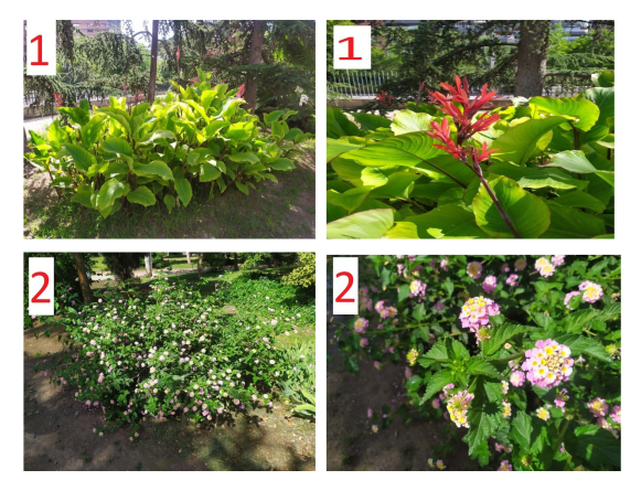 Supuesto práctico 2 - imagen 1