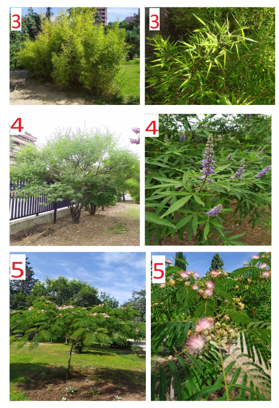 Supuesto práctico 2 - imagen 2