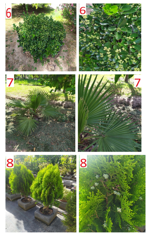 Supuesto práctico 2 - imagen 3