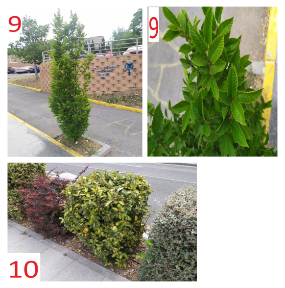 Supuesto práctico 2 - imagen 4